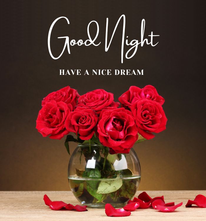 good night picture
