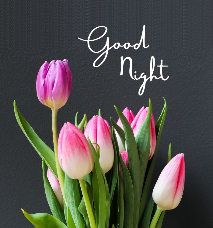 good night pictures