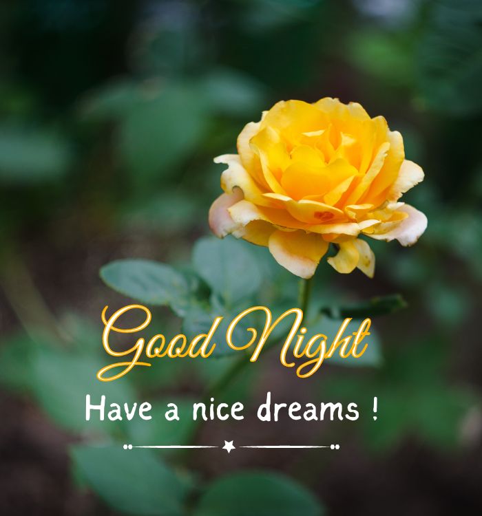 good night wallpaper hd