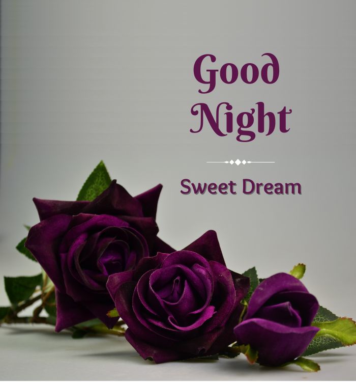 good night with love images