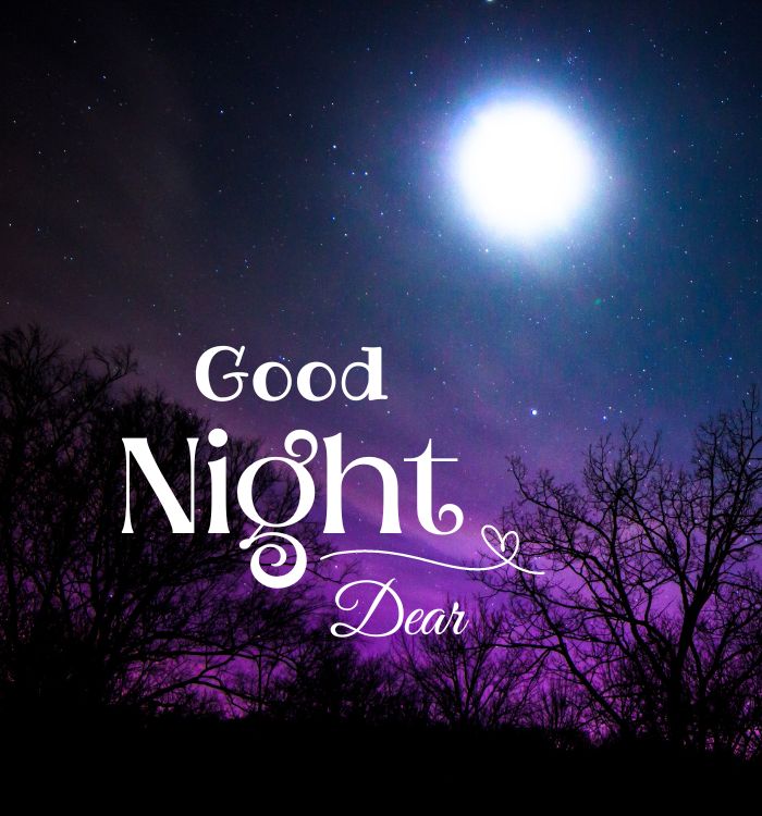 good night