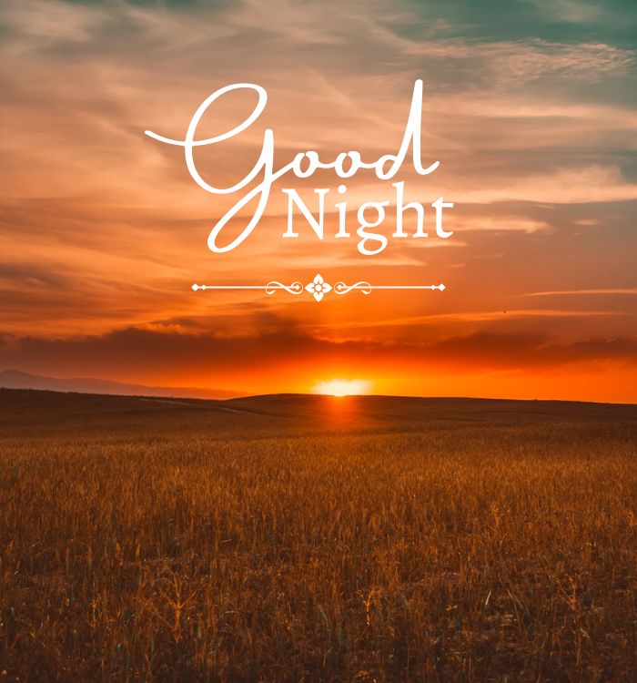 good nights