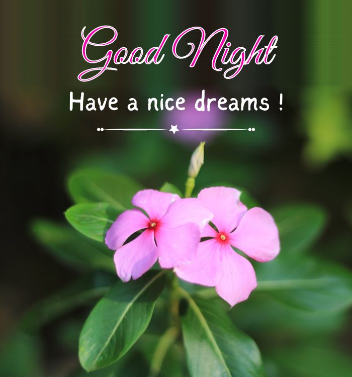 good nite images