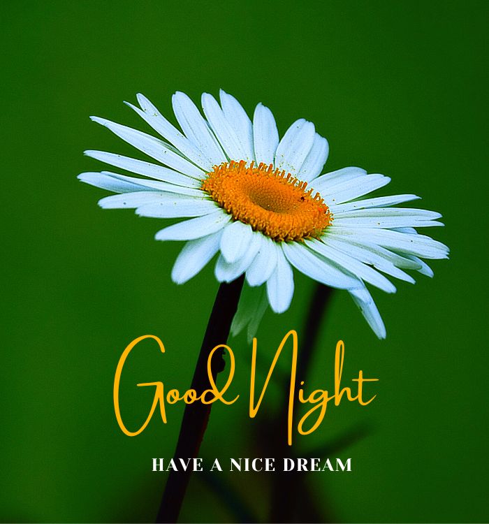 good.night images