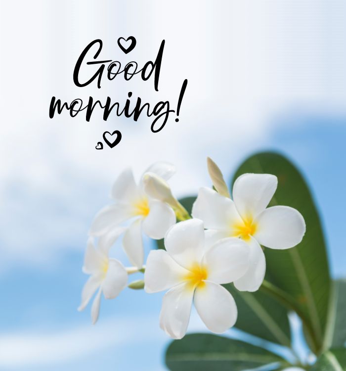 goodmorning image