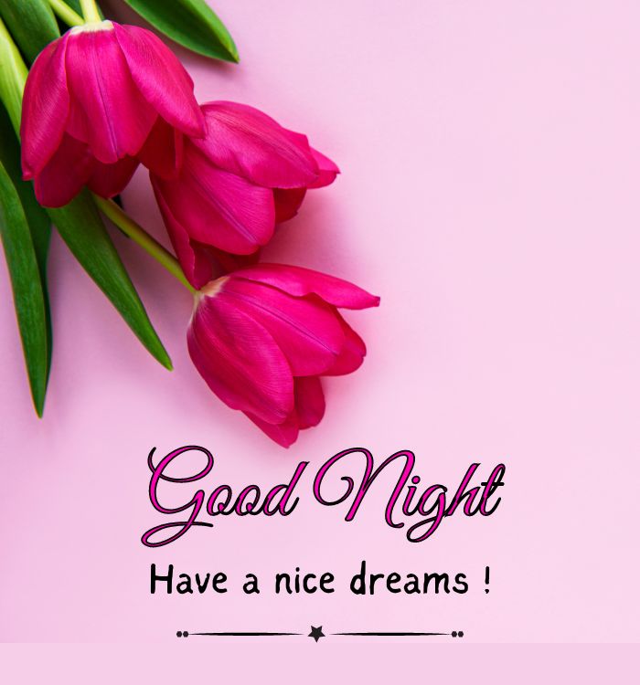goodnight photo