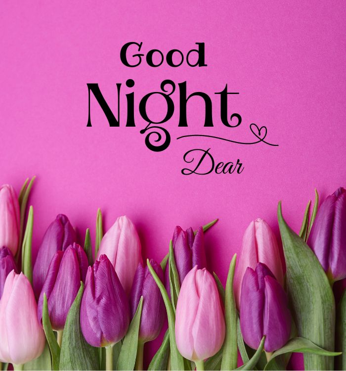 goodnight picture