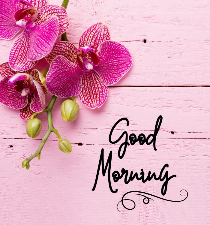 gud morning images