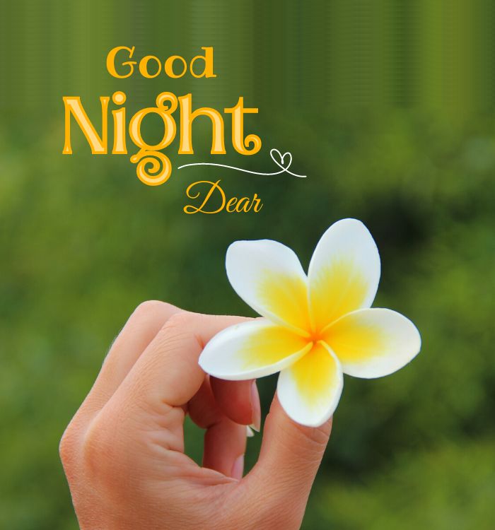 gud nite (2)