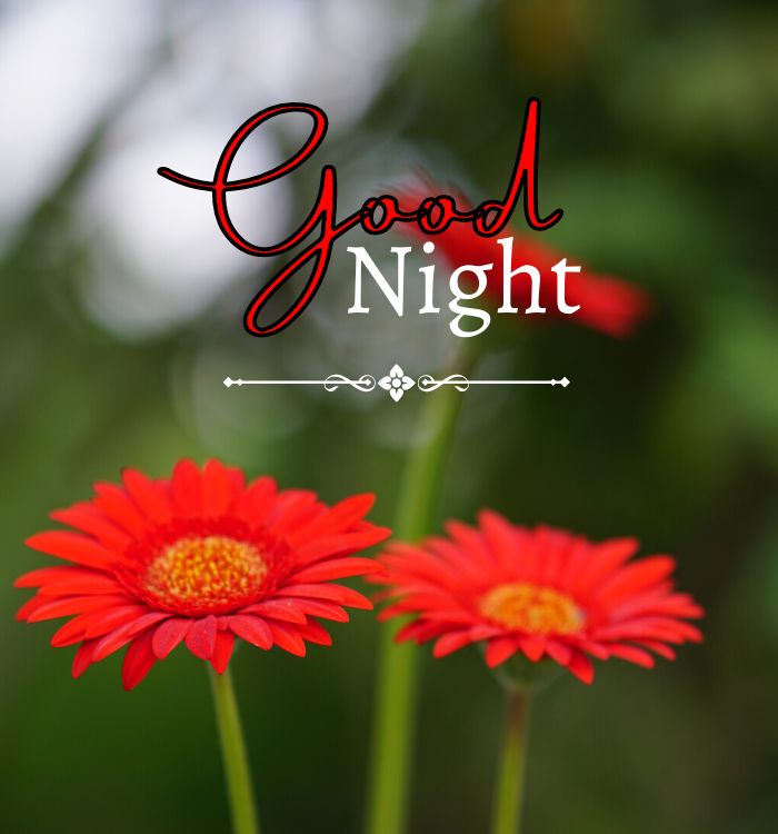 gudnite images