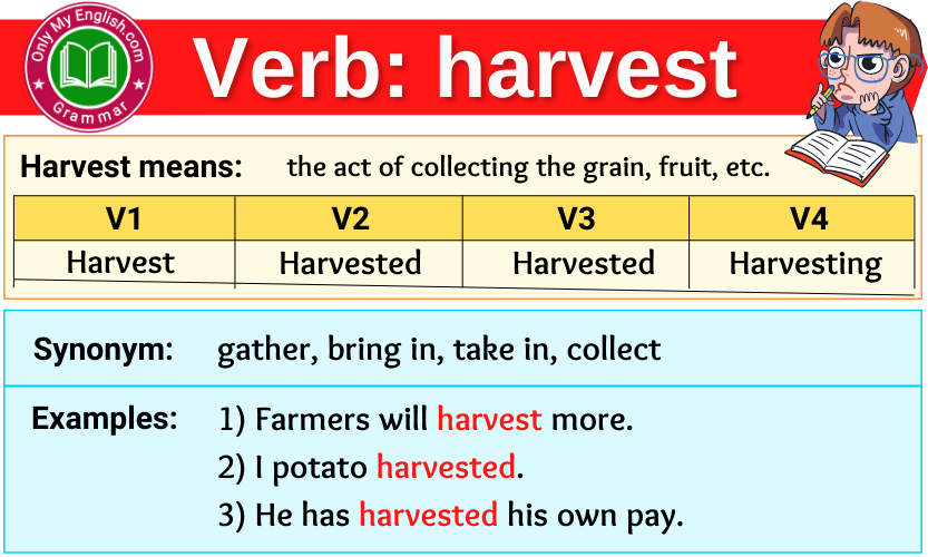 harvest verb forms v1 v2 v3 past tense and past participle-min