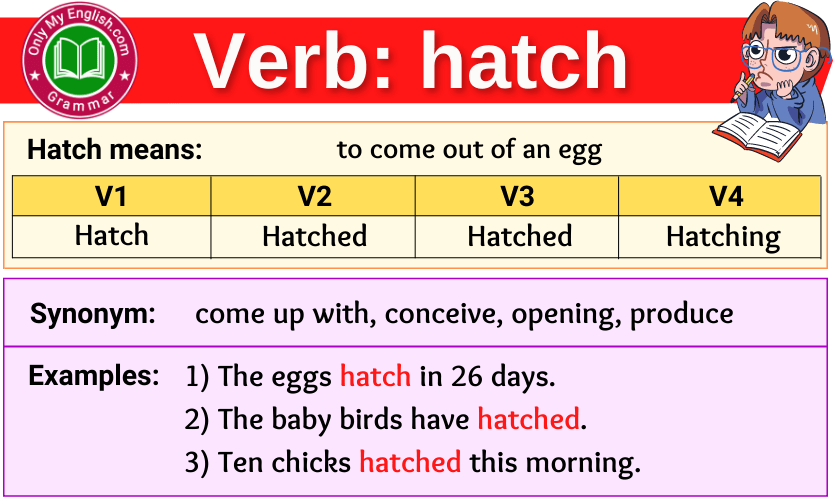 hatch verb forms v1 v2 v3 past tense and past participle-min