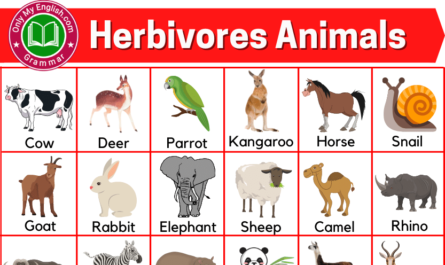 herbivores animals name