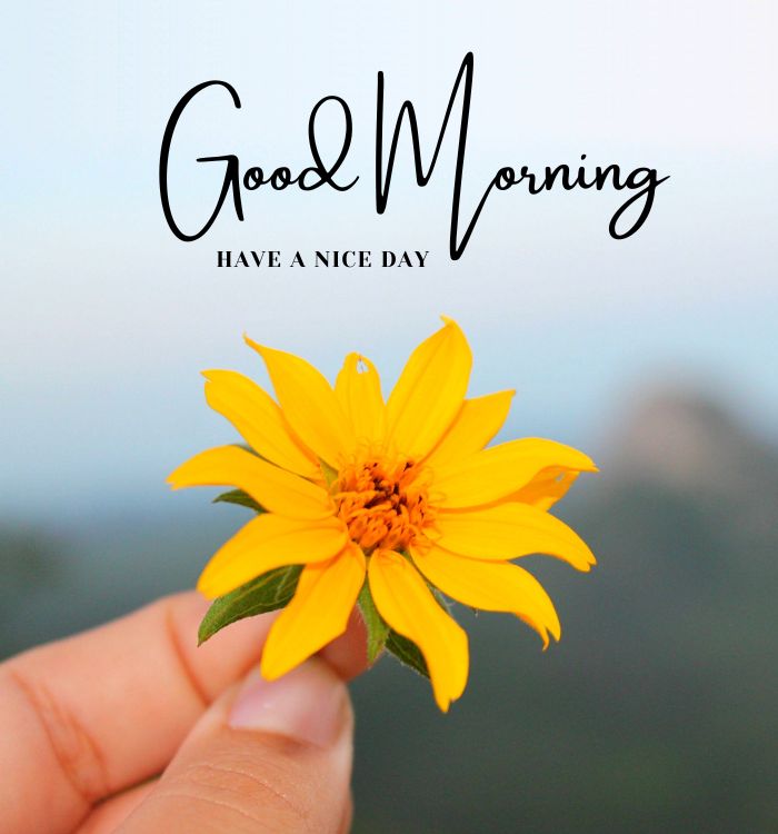images good morning
