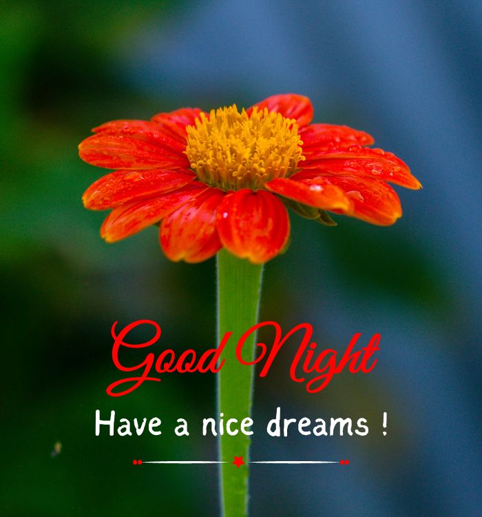images good night