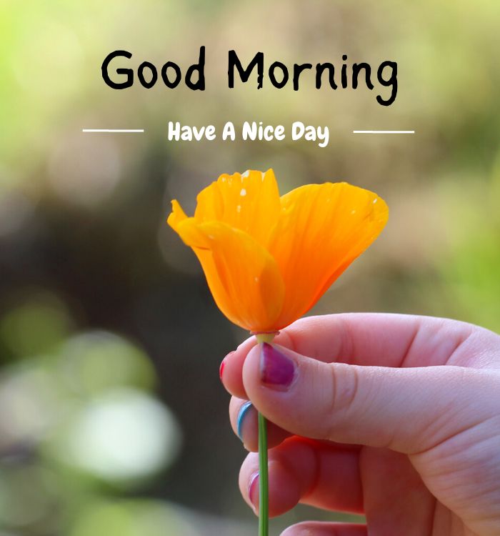 images of good morning