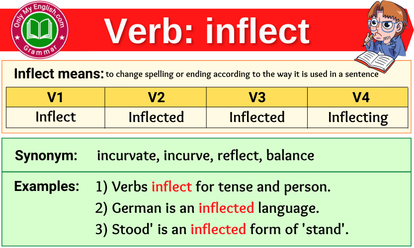 inflect verb forms v1 v2 v3 past tense and past participle-min