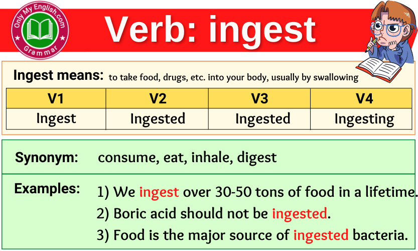 ingest uce verb forms v1 v2 v3 past tense and past participle-min