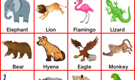 jungle-animals