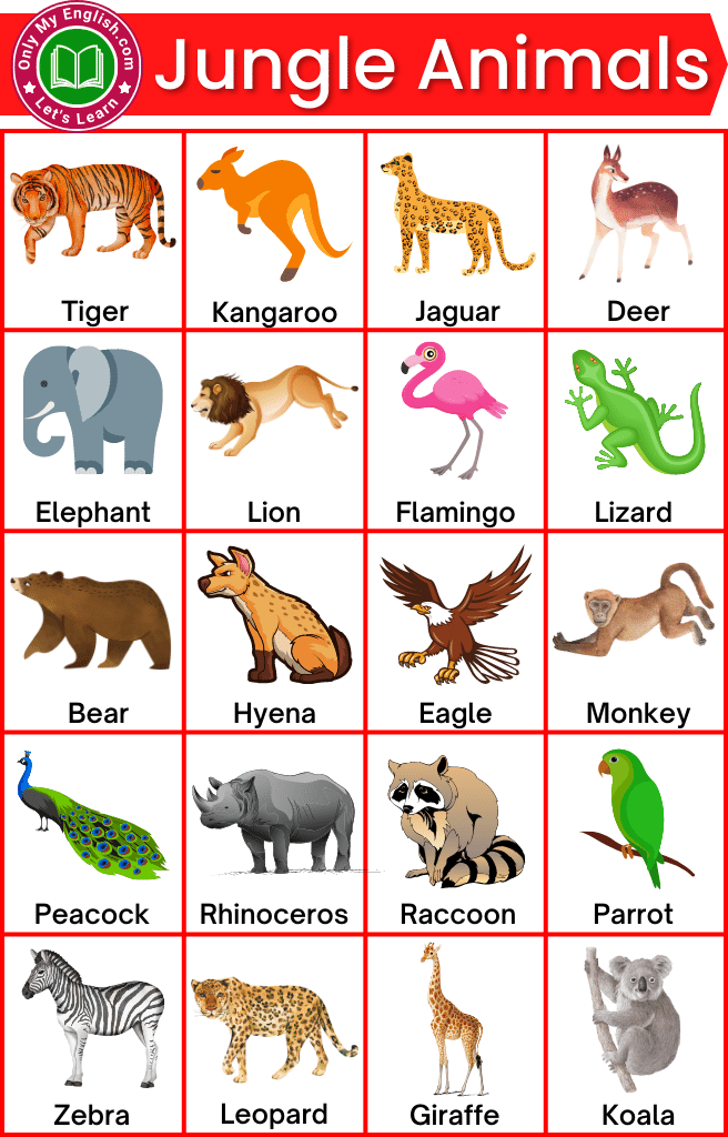 30 Jungle Animals List With Pictures Onlymyenglish