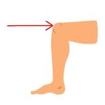 knee