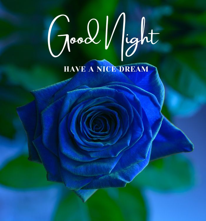 latest good night images