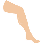 leg
