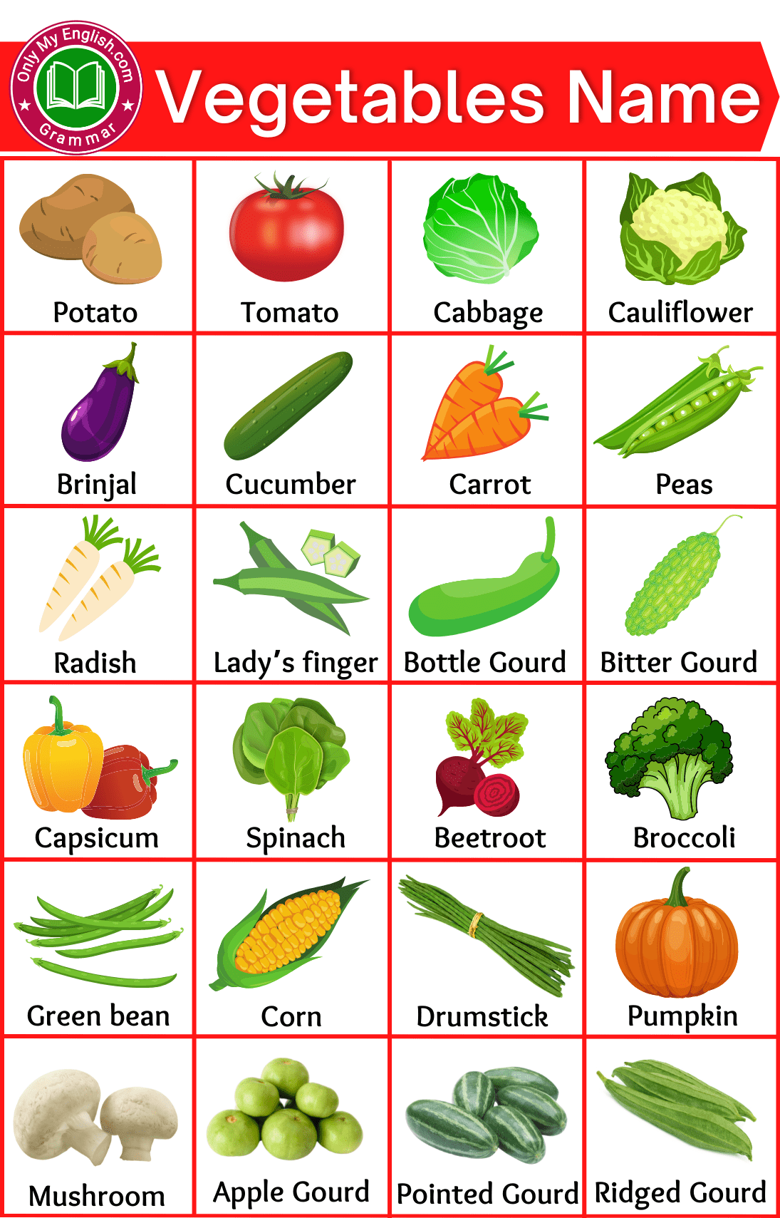 List of All Vegetables Name in English with Pictures