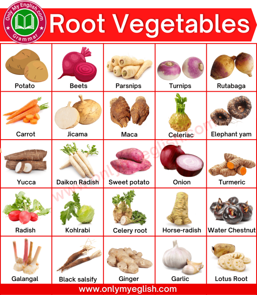 list of root vegetables with pictures