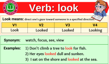 look verb forms v1 v2 v3 past tense and past participle