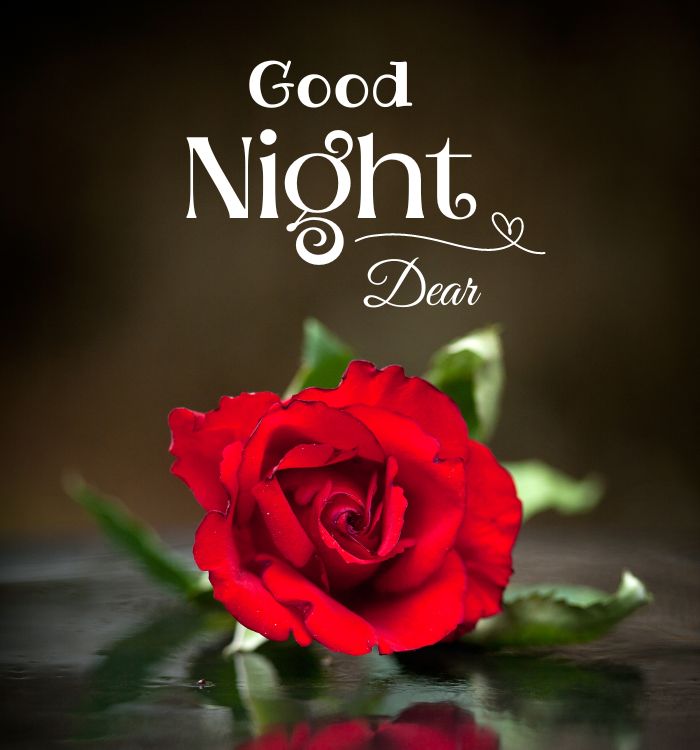 lovely good night images
