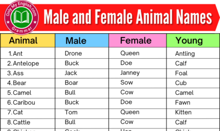 male and female animal names