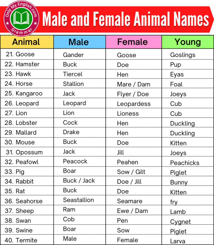 male and female animals names list1