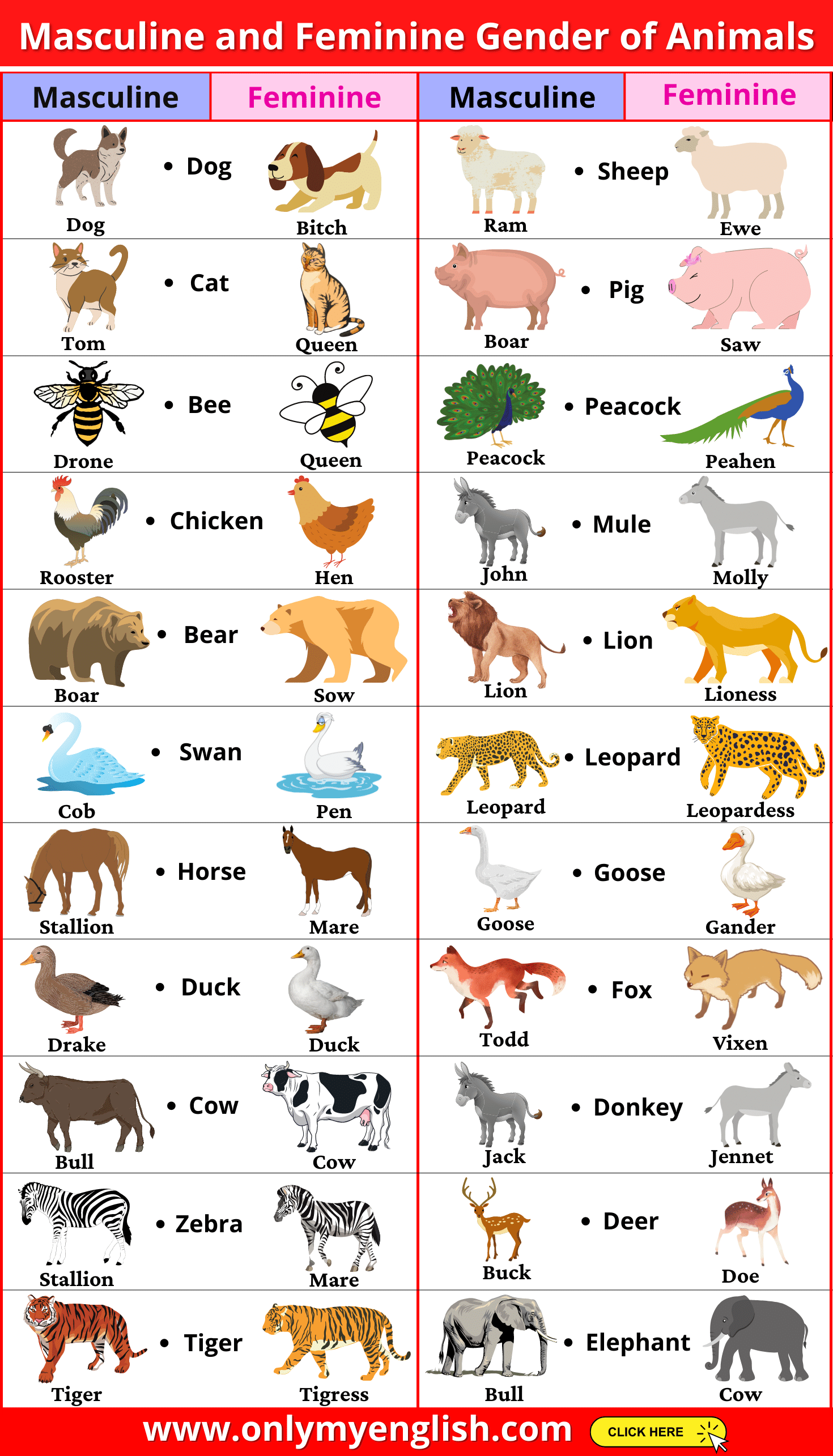 Opposite Gender Animals