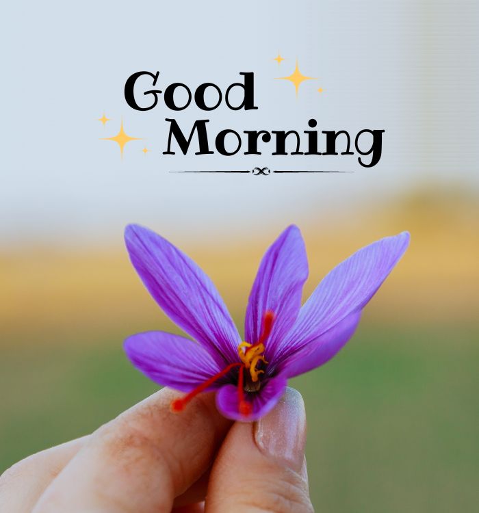 mornig