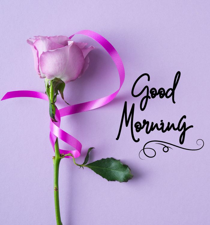 morning image