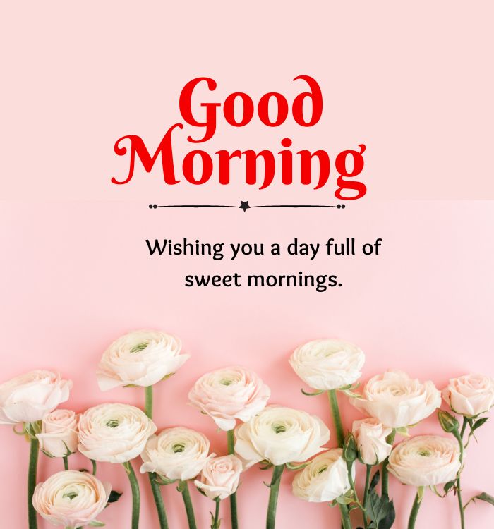 morning picture