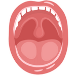 mouth