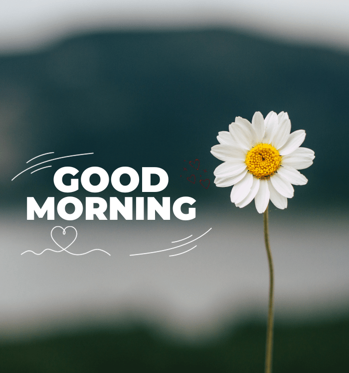 my love good morning
