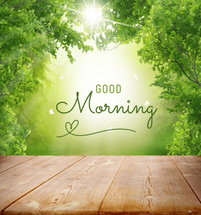 nature good morning images