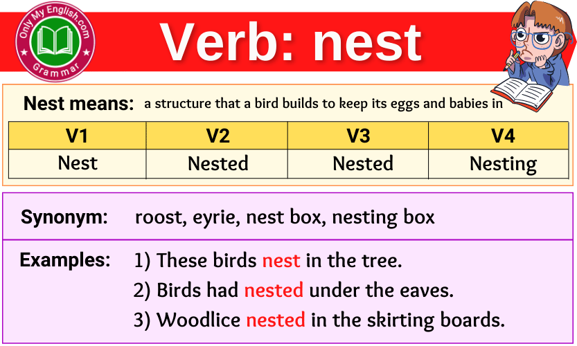 nest verb forms v1 v2 v3 past tense and past participle-min