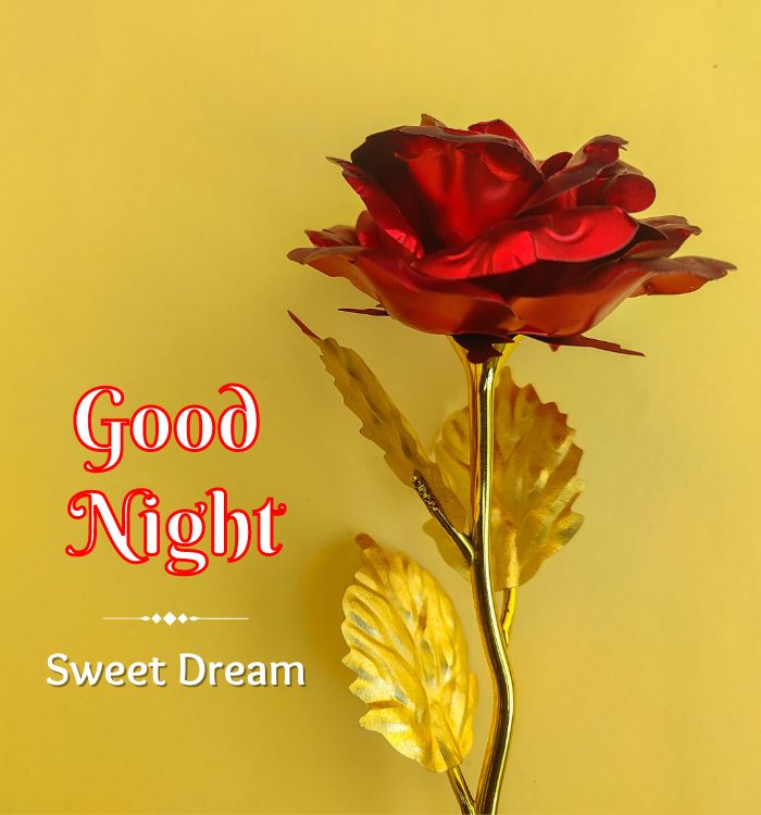 new good night images with quotes