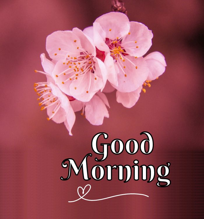 new style new latest new good morning images