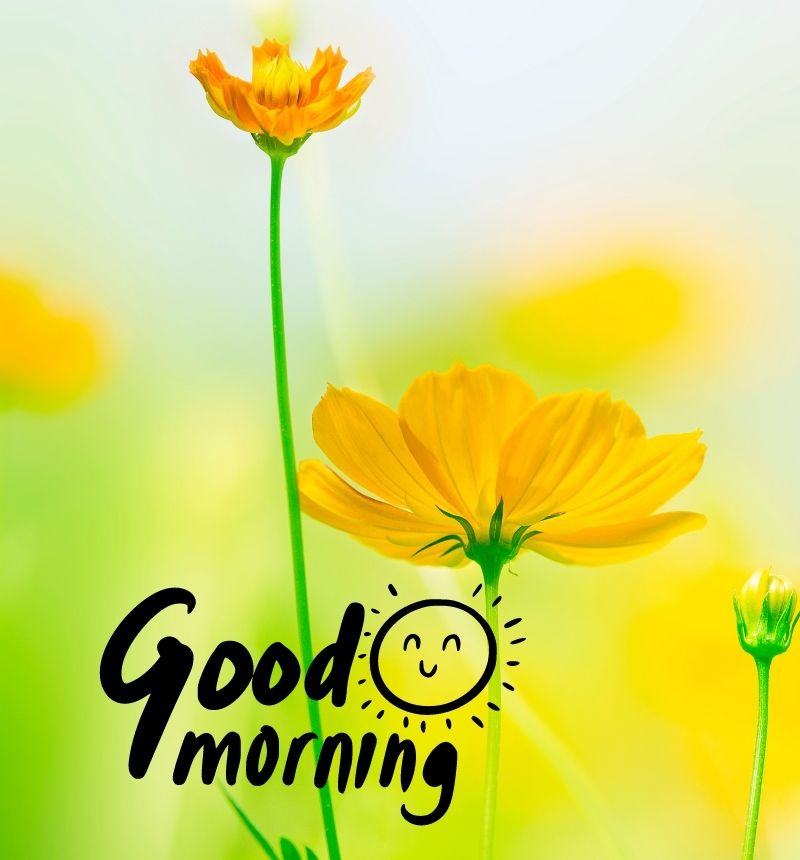 new today new good morning images