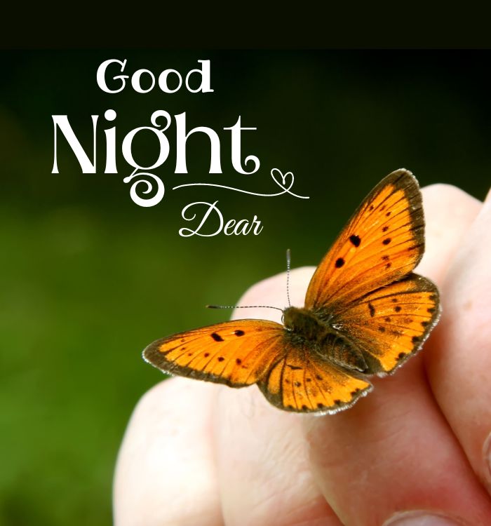 night images