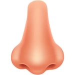 nose