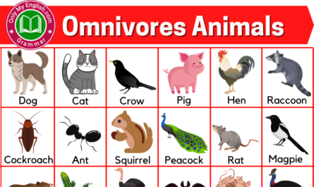 omnivores animals name
