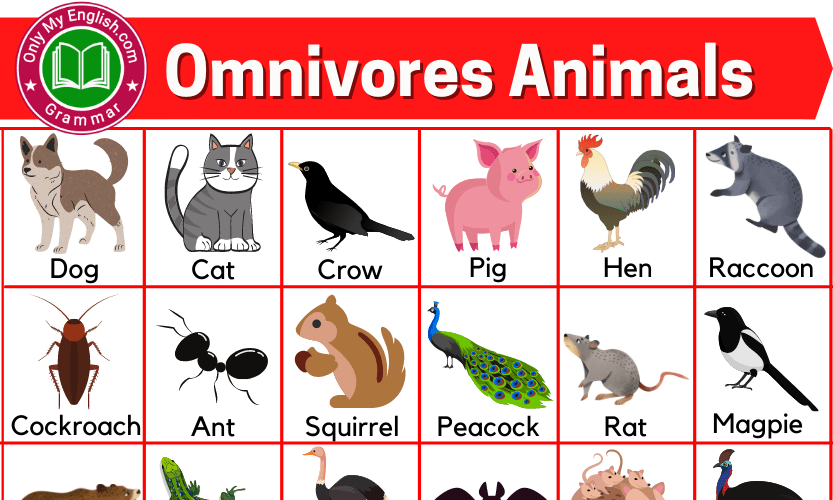 50+ Omnivorous Animals Name List with Pictures » OnlyMyEnglish