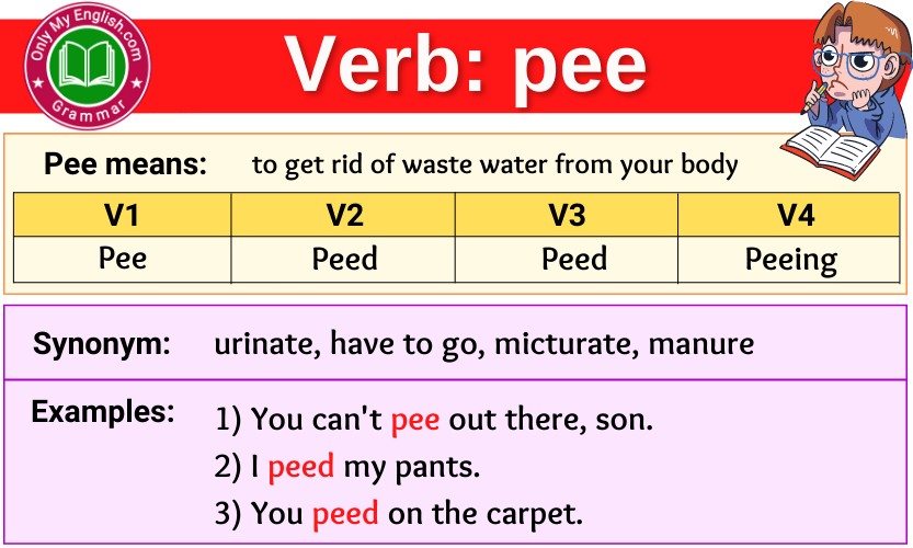 Pee Verb Forms – Past Tense, Past Participle & V1V2V3