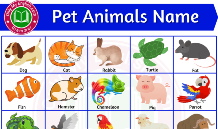 pet animals name